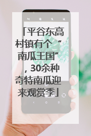 平谷东高村镇有个“南瓜王国”，30余种奇特南瓜迎来观赏季