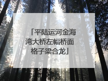 平陆运河金海湾大桥左幅桥面格子梁合龙