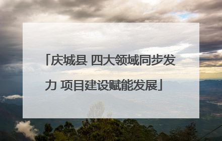 庆城县 四大领域同步发力 项目建设赋能发展