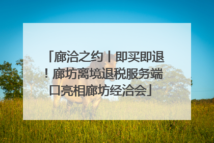 廊洽之约丨即买即退！廊坊离境退税服务端口亮相廊坊经洽会