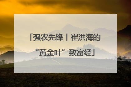 强农先锋丨崔洪海的“黄金叶”致富经