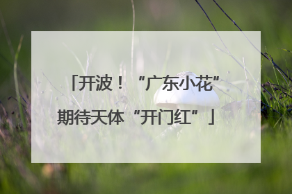 开波！“广东小花”期待天体“开门红”