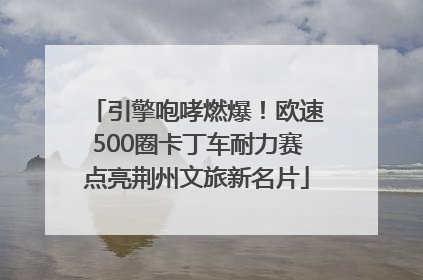 引擎咆哮燃爆！欧速500圈卡丁车耐力赛点亮荆州文旅新名片