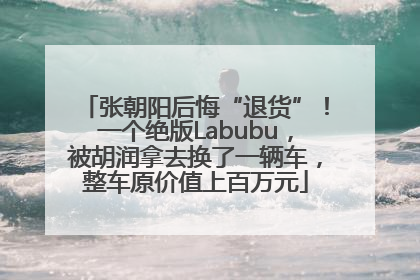 张朝阳后悔“退货”！一个绝版Labubu，被胡润拿去换了一辆车，整车原价值上百万元