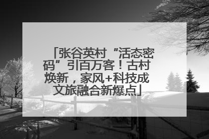 张谷英村“活态密码”引百万客！古村焕新，家风+科技成文旅融合新爆点