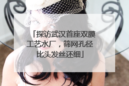 探访武汉首座双膜工艺水厂，筛网孔径比头发丝还细