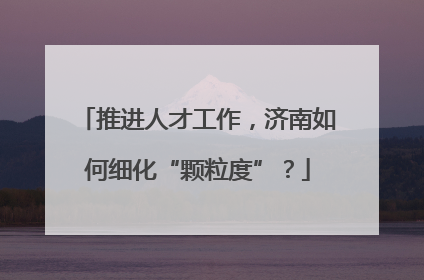 推进人才工作，济南如何细化“颗粒度”？