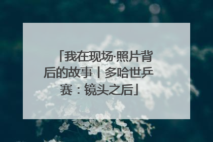 我在现场·照片背后的故事丨多哈世乒赛：镜头之后