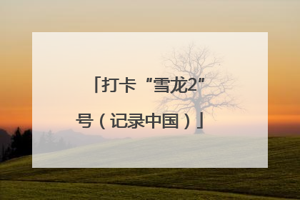 打卡“雪龙2”号（记录中国）
