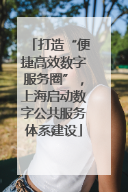 打造“便捷高效数字服务圈”，上海启动数字公共服务体系建设