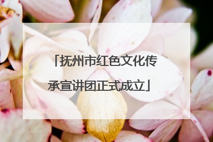 抚州市红色文化传承宣讲团正式成立