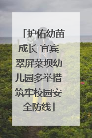 护佑幼苗成长 宜宾翠屏菜坝幼儿园多举措筑牢校园安全防线