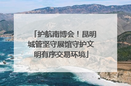 护航南博会！昆明城管坚守展馆守护文明有序交易环境