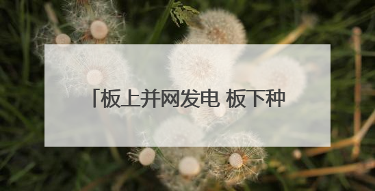 板上并网发电 板下种草固沙 洛浦县光伏产业实现生态经济双收益
