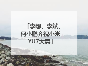 李想、李斌、何小鹏齐祝小米YU7大卖