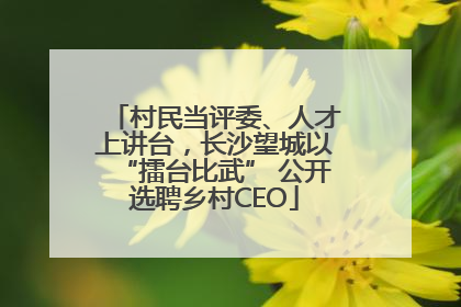 村民当评委、人才上讲台，长沙望城以“擂台比武” 公开选聘乡村CEO