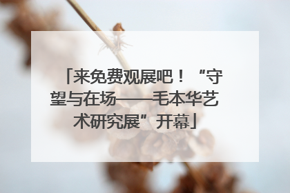 来免费观展吧！“守望与在场——毛本华艺术研究展”开幕