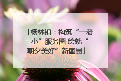 杨林镇：构筑“一老一小”服务圈 绘就“朝夕美好”新图景