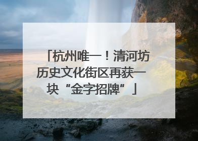 杭州唯一！清河坊历史文化街区再获一块“金字招牌”