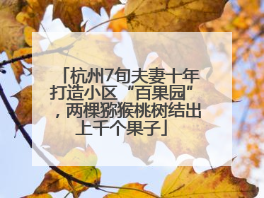杭州7旬夫妻十年打造小区“百果园”，两棵猕猴桃树结出上千个果子
