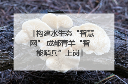 构建水生态“智慧网” 成都青羊“智能哨兵”上岗