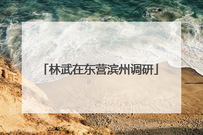 林武在东营滨州调研
