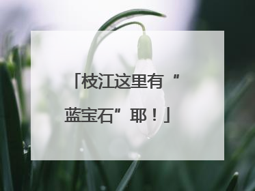 枝江这里有“蓝宝石”耶！