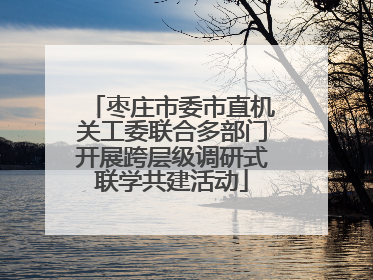 枣庄市委市直机关工委联合多部门开展跨层级调研式联学共建活动