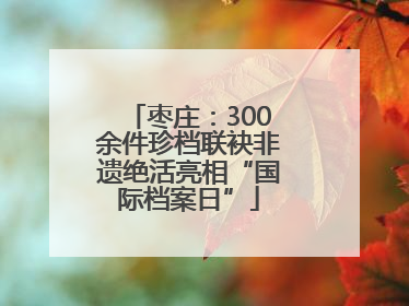 枣庄：300余件珍档联袂非遗绝活亮相“国际档案日”