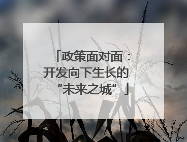 政策面对面：开发向下生长的“未来之城”