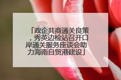 政企共商通关良策，秀英边检站召开口岸通关服务座谈会助力海南自贸港建设