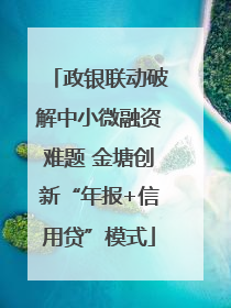 政银联动破解中小微融资难题 金塘创新“年报+信用贷”模式