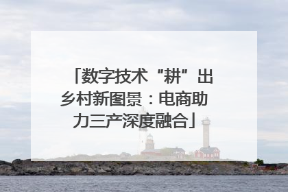 数字技术“耕”出乡村新图景：电商助力三产深度融合