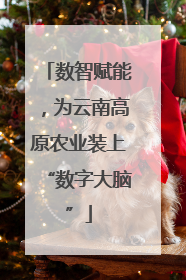 数智赋能，为云南高原农业装上“数字大脑”