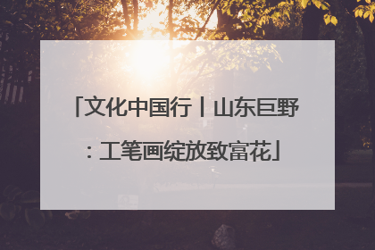 文化中国行丨山东巨野：工笔画绽放致富花