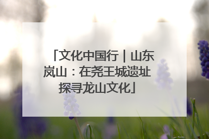 文化中国行｜山东岚山：在尧王城遗址探寻龙山文化
