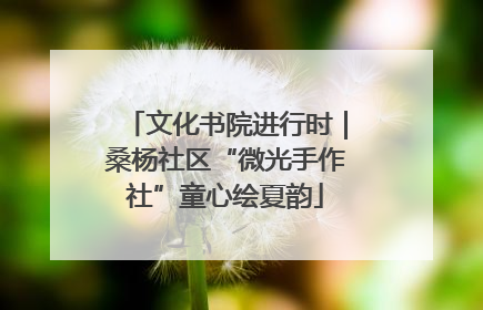 文化书院进行时｜桑杨社区“微光手作社”童心绘夏韵