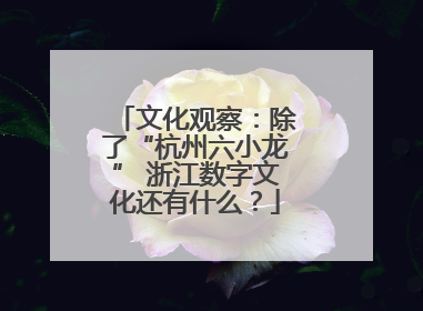 文化观察：除了“杭州六小龙” 浙江数字文化还有什么？