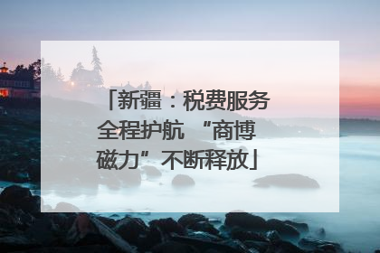 新疆：税费服务全程护航 “商博磁力”不断释放