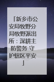 新乡市公安局牧野分局牧野派出所：深耕主防警务 守护辖区平安