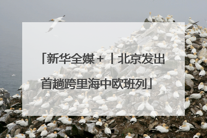 新华全媒＋丨北京发出首趟跨里海中欧班列