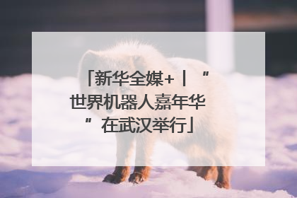 新华全媒+丨“世界机器人嘉年华”在武汉举行