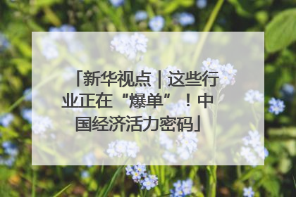 新华视点｜这些行业正在“爆单”！中国经济活力密码