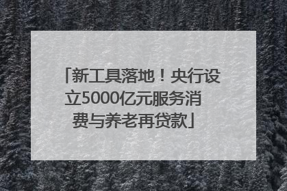 新工具落地！央行设立5000亿元服务消费与养老再贷款
