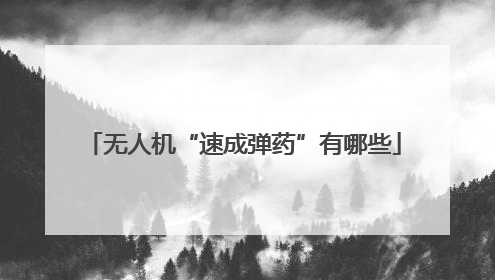 无人机“速成弹药”有哪些