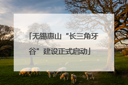 无锡惠山“长三角牙谷”建设正式启动