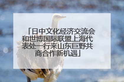 日中文化经济交流会和世博国际联盟上海代表处一行来山东巨野共商合作新机遇