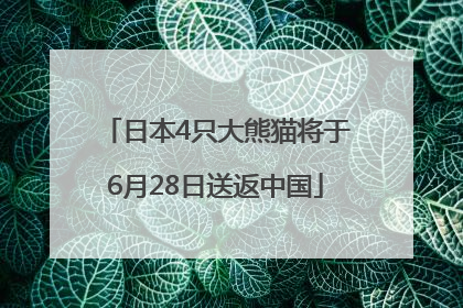 日本4只大熊猫将于6月28日送返中国