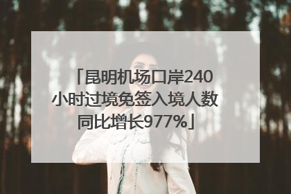 昆明机场口岸240小时过境免签入境人数同比增长977%