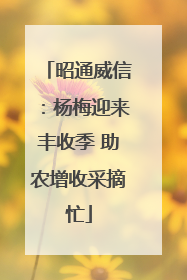 昭通威信：杨梅迎来丰收季 助农增收采摘忙